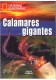 Calamares gigantes książka + DVD