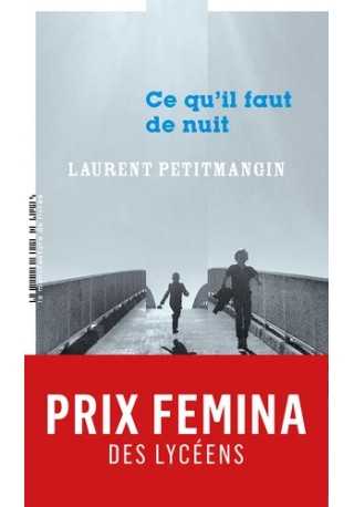 Ce qu'il faut de nuit literatura francuska 