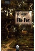 Fox RC bk