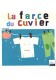 Farce du cuvier